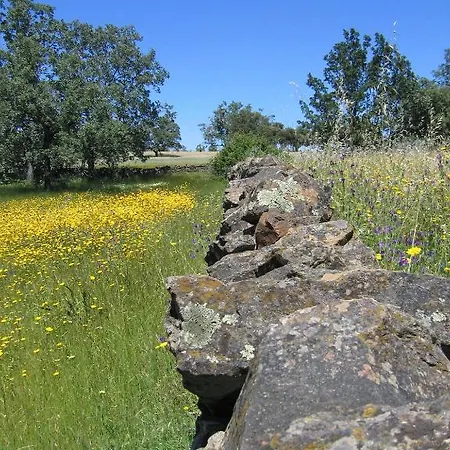 La Ramallosa Cilleros