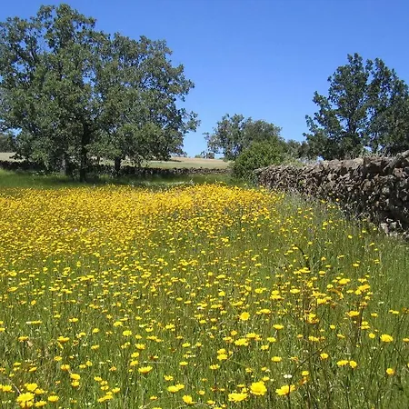 Country house La Ramallosa *