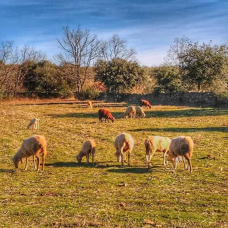 Country house La Ramallosa Cilleros