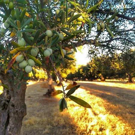 La Ramallosa